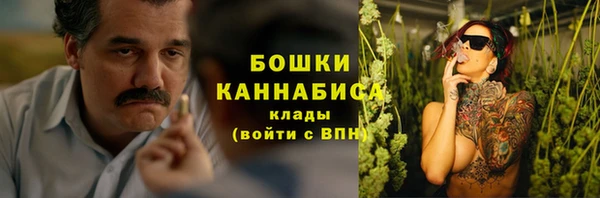 ECSTASY Медногорск