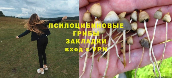 ECSTASY Медногорск