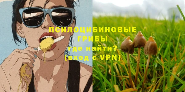 скорость Мегион