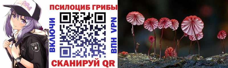купить наркотик  Конаково  Псилоцибиновые грибы мухоморы 