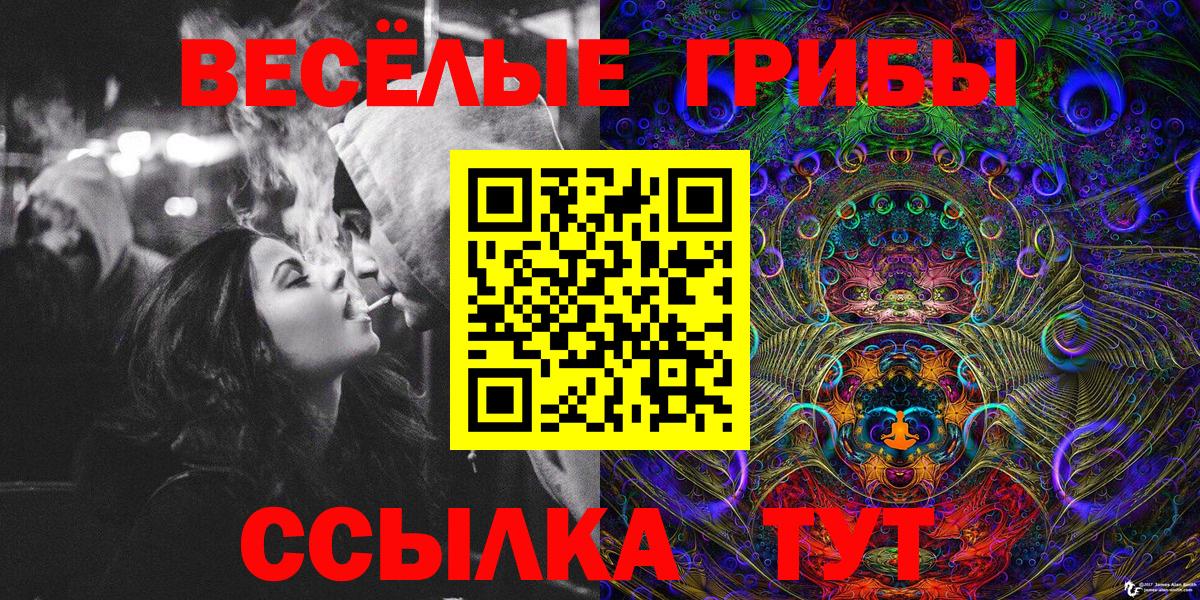 Галлюциногенные грибы Psilocybine cubensis Конаково