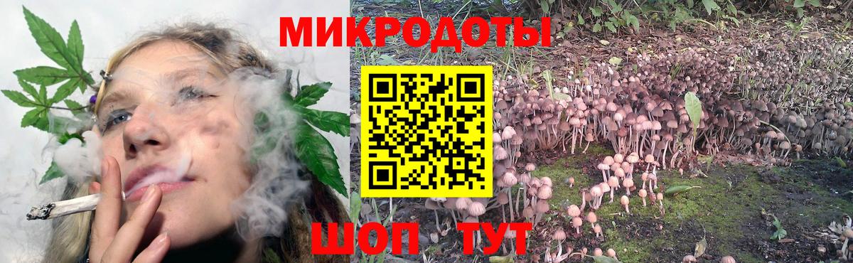 Псилоцибиновые грибы Magic Shrooms Конаково