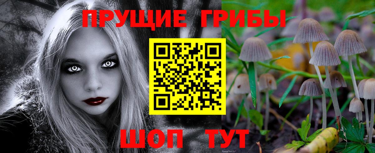 Галлюциногенные грибы мицелий  Вход с VPN  где купить   Конаково 
