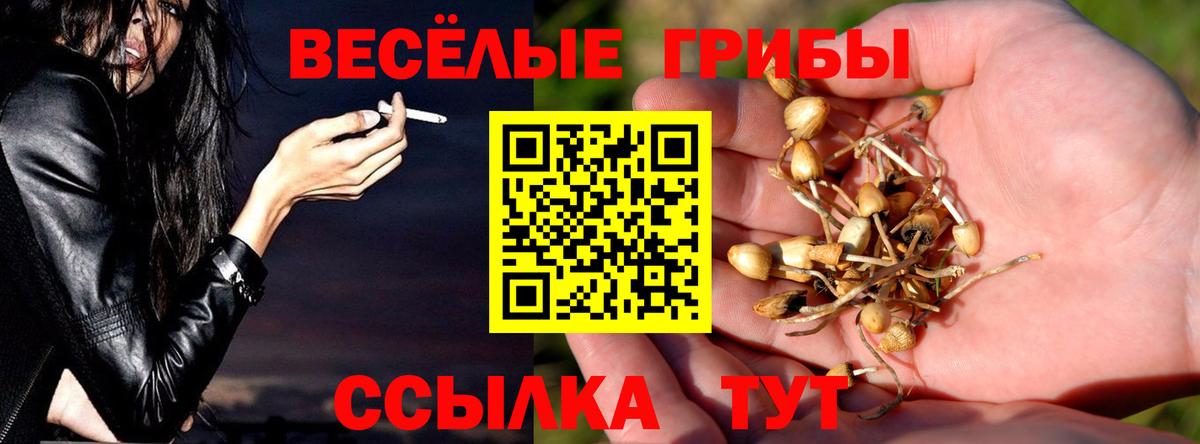 Галлюциногенные грибы мухоморы  где продают наркотики  Конаково 