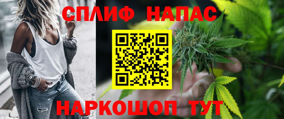 Канабис конопля Конаково